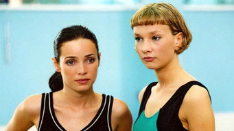 Coyote's Morning (2001)