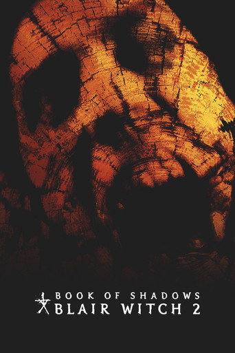 Poster 33