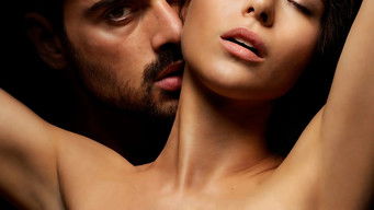 Galeria 3 - 365 días