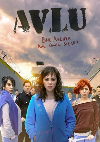 Avlu