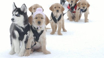 Snow Buddies backdrop 2