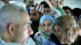 #11 Cairo 6,7,8
