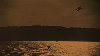 The Broken Butterfly (1919)