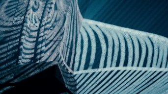 El internado: Las Cumbres