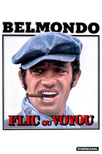 Film Flic ou voyou streaming VF gratuit complet