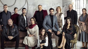 #7 Halka