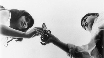 Мовчання без крил (1966)