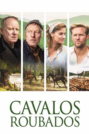 Cavalos Roubados