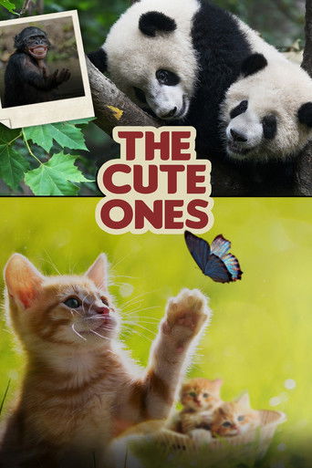 The Cute Ones 2020