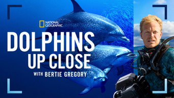 #8 Dolphins Up Close with Bertie Gregory