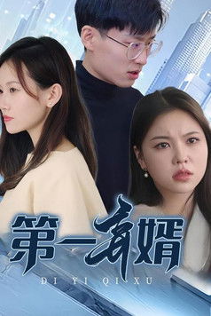 第一弃婿 poster