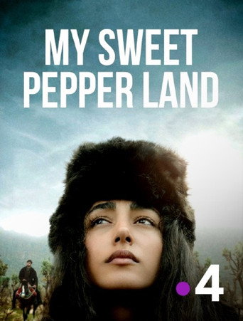 Poster 12