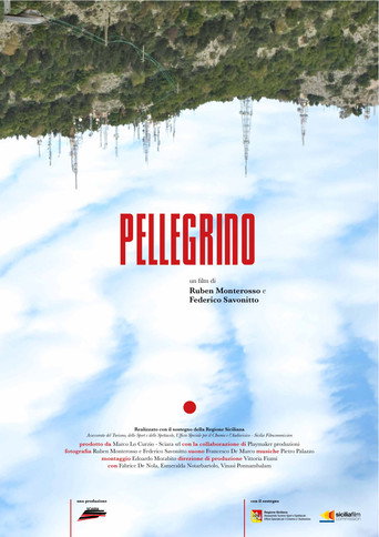 Pellegrino (2017)