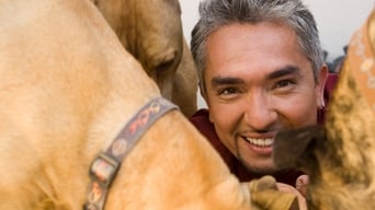 #5 Dog Whisperer with Cesar Millan