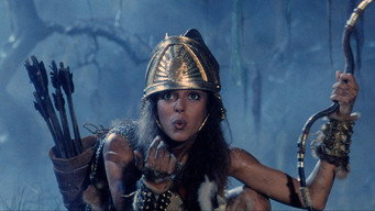 #18 The Barbarians