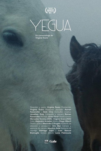 Yegua