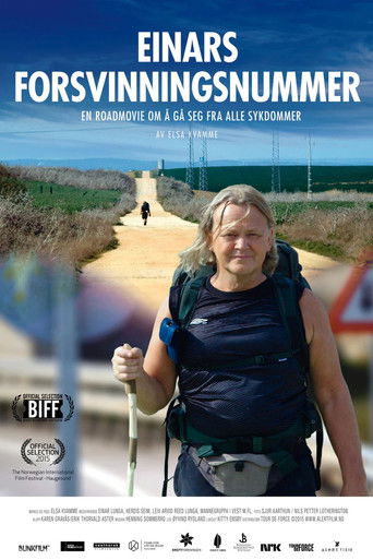 Einars forsvinningsnummer (2015)