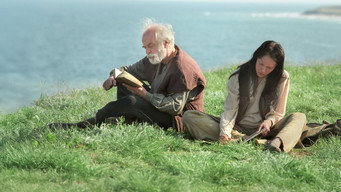 Мене звати Модесті: Пригоди Модесті Блейз (2004)