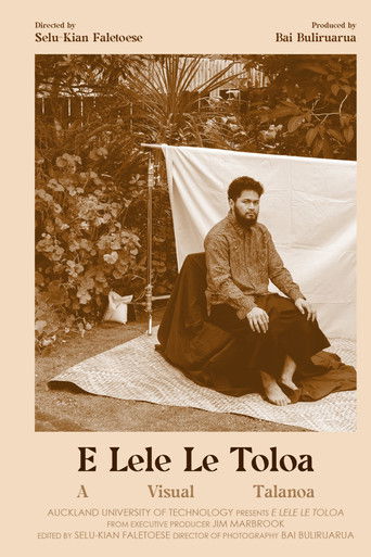 The Toloa Bird Soars poster