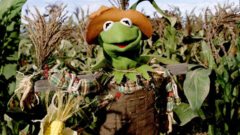 The Muppets' Wizard of Oz backdrop 8