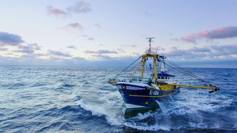 Trawlermen: Hunting the Catch (2022- )