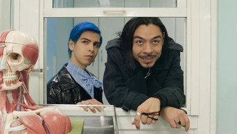 #16 Лос Страшилкас