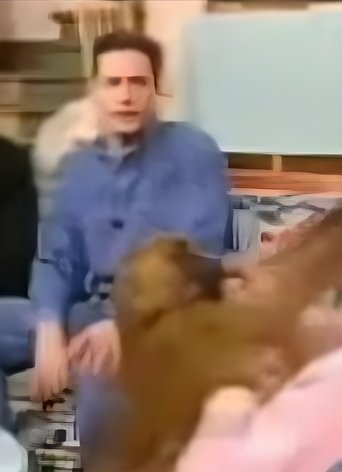 Samson en Gert: De Weesaap