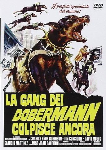 La gang dei doberman colpisce ancora