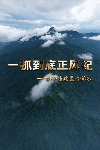 一抓到底正风纪—秦岭违建整治始末 poster