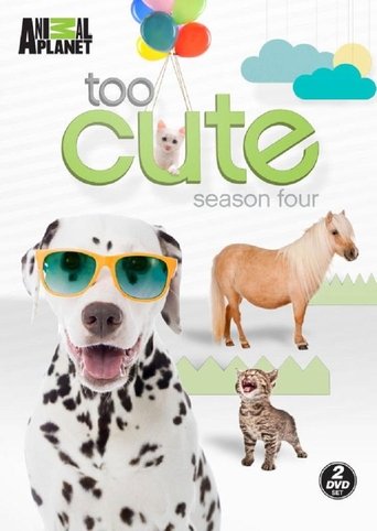Too Cute: Season 4