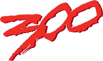 صورة من 300