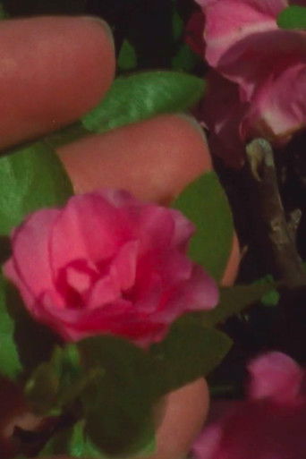 Confrontations poster