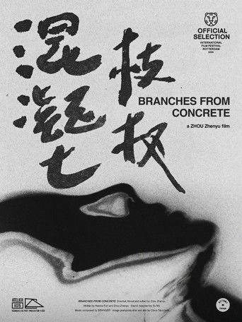 Branches from Concrete (2026)
