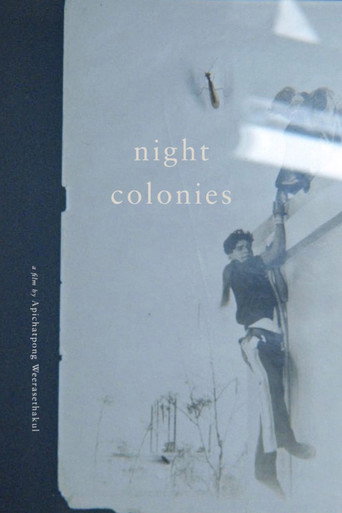 Night Colonies galeri 4