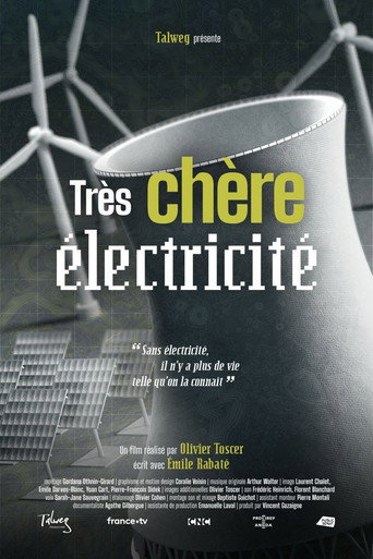 Tr&egrave;s ch&egrave;re &eacute;lectricit&eacute; (2025)