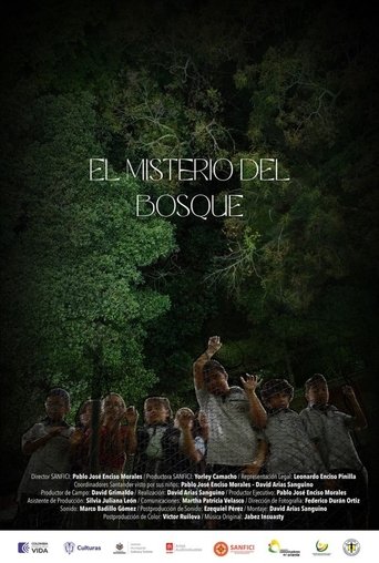 The  Wood's Mistery poster