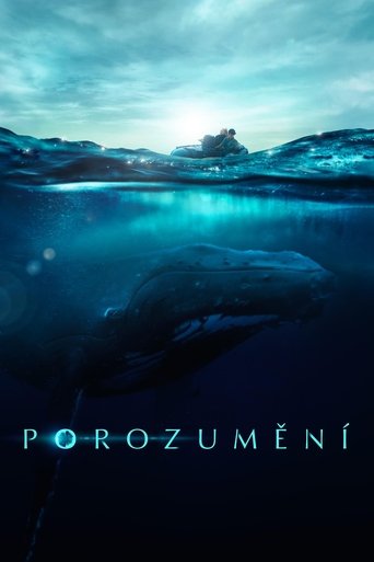 Porozumění