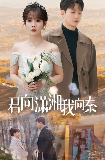 君向潇湘我向秦 poster