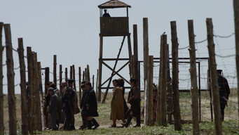 A.L.Zh.I.R (2019)
