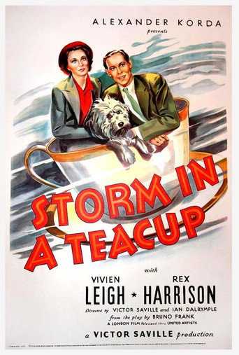 Poster 8