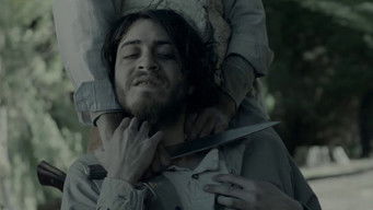 Galeria 1 - Lleno de ruido y dolor