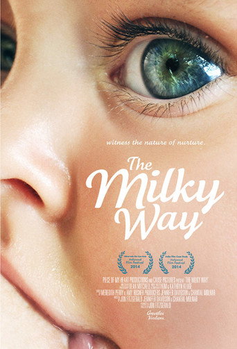 The Milky Way