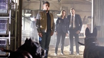 Cena de O Dedo No Ninho