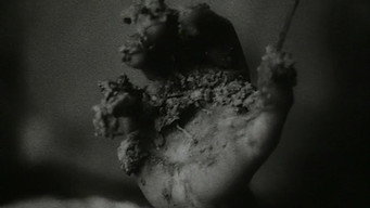Колодязь, маятник і надія (1984)
