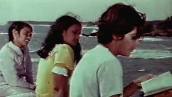Mangrove Island (1976)
