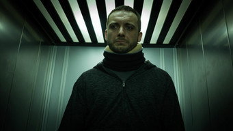 Raven media image