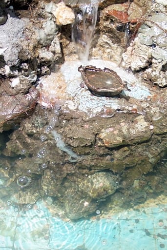 Fountain (Money) poster