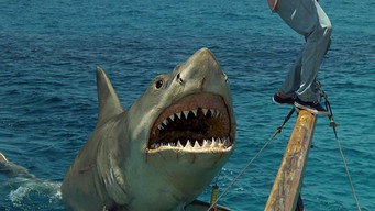 Jaws: The Revenge backdrop 9