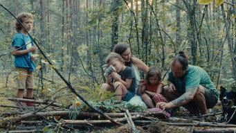Forest (2024)