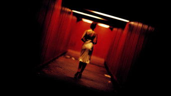 Galeria 4 - Irreversible